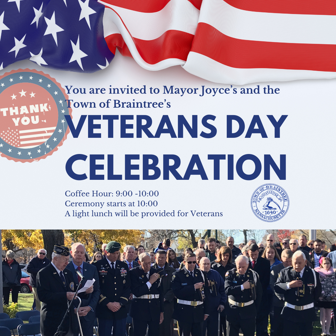 Veterans Day Social Post  