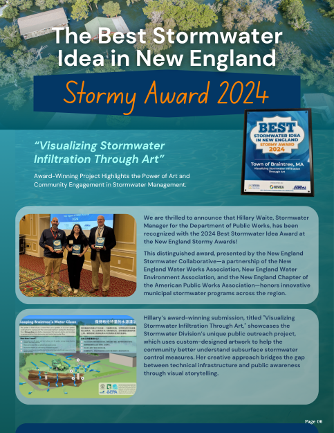 Stormy Award