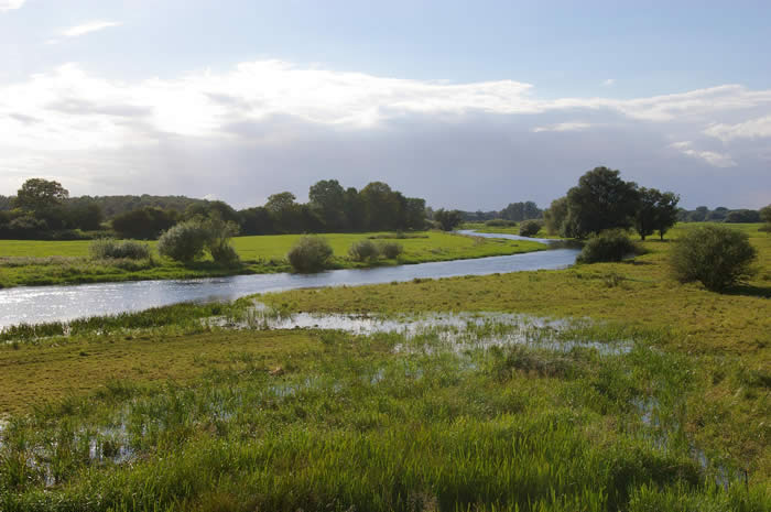 Floodplain Lands and Waters