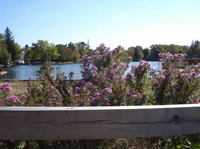 Sunset Lake Rain Garden