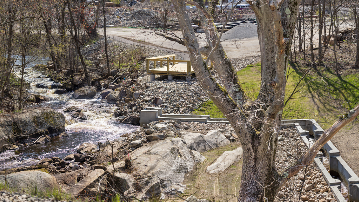 picture ladder website