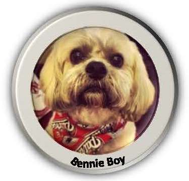 Benny Opens in new window